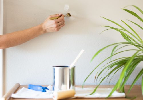 Painting & Renovation Works touch up & repainting